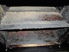 不衛生な環境で食中毒のリスクもアップ
